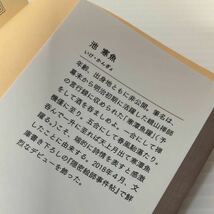 ひとだま 隠密絵師事件帖　池寒魚／著　集英社文庫　幽霊 怪談 読書 本 書籍 幕末終焉 天狗 攘夷派 陰謀 鋳掛屋 時代小説 江戸 品川 用心棒_画像8