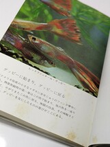 グッピーの魅力　牧野信司／著　保育社 カラーブックス　レンボーフィッシュ 虹魚 南アメリカ原産 メダカ ロングスカート 水 餌 病気 繁殖 _画像2