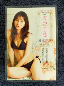 【ラミネート加工/杉本愛里】プレイボーイ2024年No.12・13 切り抜き 8P