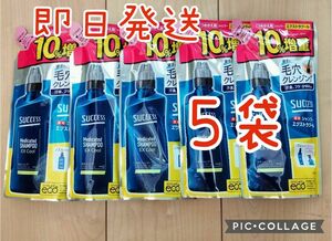 花王 サクセス 薬用シャンプー エクストラクール つめかえ用 増量 360ml×５袋