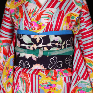 ★☆★アンティーク大正ロマン 矢絣に向かい合う尾長鳥や七宝ポップな古典柄小紋★美品☆送料無料★