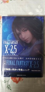 〈初版・帯〉　FINAL FANTASY X-2.5: 永遠の代償　ファイナルファンタジー　2013【管理番号西2cp本-402】