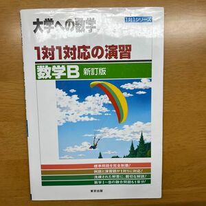 1対1対応の演習/数学B 新訂版 (大学への数学 1対1シリーズ)