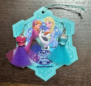 TDL フローズンファンタジー アナと雪の女王 エルサ アナ ドレス型 ピアス 未使用 サージカルステンレスポスト