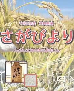 さがびより 令和５年佐賀県産 5㎏ 農家直送