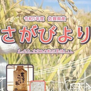 さがびより 令和５年佐賀県産 15㎏ 農家直送 お米