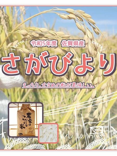 さがびより 令和５年佐賀県産 5㎏ お米 農家直送