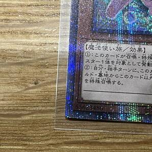 新品未使用！ 妖精伝姫 シラユキ 25thシク QCDB-JP019 25thシークレットレア quarter century duelist box 遊戯王 yu-gi-oh! 他と同梱可!の画像4