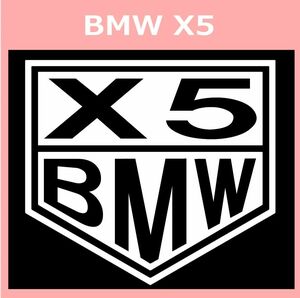 VT1)BMW_X5 カッティングステッカー シール