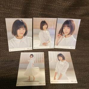 乃木坂46 生写真 SYNCHRONICITY 西野七瀬 コンプ 5枚の画像1