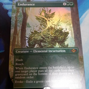 mtg 　忍耐　英語　拡張　ボーダーレス　foil