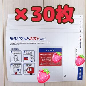 ゆうパケットポストmini 専用封筒　×30枚　折り曲げずに発送♪