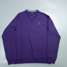 極美品 Munsingwear マンシングウェア Vネック ウール ニット セーター 紫 メンズ L ゴルフウェア_画像1