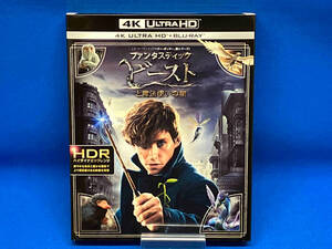 ファンタスティック・ビーストと魔法使いの旅(4K ULTRA HD+Blu-ray Disc)