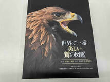 世界で一番美しい鷲の図鑑　マイクアンウィン_画像1