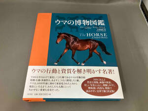  horse. . thing illustrated reference book te Be *baz Be 
