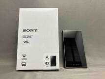 SONY ウォークマン NW-A106(32GB) WALKMAN (14-07-13)_画像1