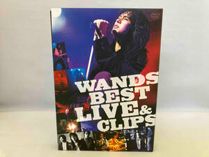 DVD WANDS BEST LIVE&CLIPS