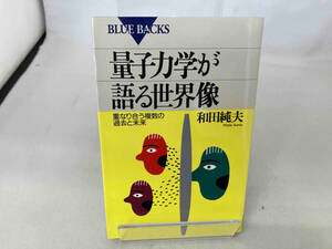 量子力学が語る世界像 和田純夫