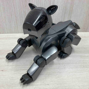 【ジャンク/不動品】 SONY アイボ AIBO ERS-210【ドッキングステーション欠品】の画像2