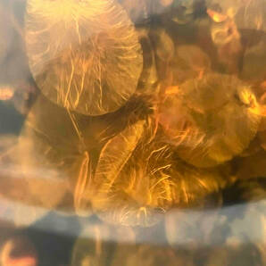 アンバー風 リング 琥珀調 シルバーカラー 約11.5号 アンティーク風の画像7