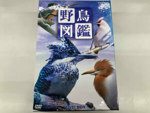 DVD 野鳥図鑑 DVD-BOX