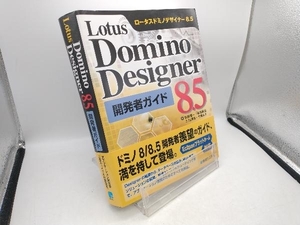 Lotus Domino Designer 8.5開発者ガイド 佐藤権一