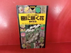 樹に咲く花　写真検索　離弁花１ （山溪ハンディ図鑑　３） （第４版） 茂木透／写真　高橋秀男／監修　勝山輝男／監修　石井英美／〔ほか〕解説