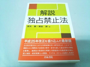 解説 独占禁止法 波光巌 青林書院