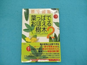 原寸図鑑 葉っぱでおぼえる樹木(2) 濱野周泰