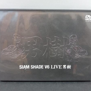 DVD SIAM SHADE V6 LIVE 男樹の画像1