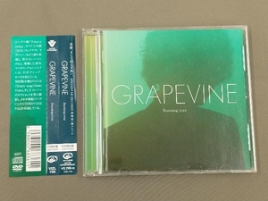 GRAPEVINE CD Burning tree(初回限定版)