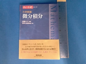 大学教養 微分積分 加藤文元