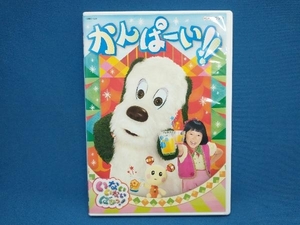 DVD NHK いないいないばあっ! かんぱーい!!