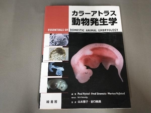 書き込み、マーカー有り/カラーアトラス 動物発生学 ポウル・ヒッテル