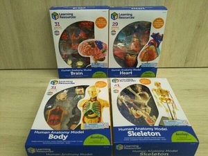  human body puzzle set model internal organs ... vessel science human anatomy model Leaning Resources heart . head .