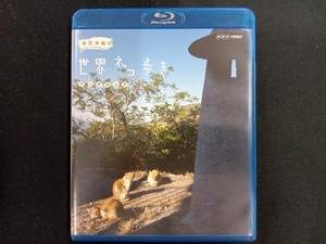 岩合光昭の世界ネコ歩き アンダルシア(Blu-ray Disc)