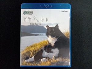岩合光昭の世界ネコ歩き ノルウェー(Blu-ray Disc)