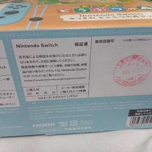 中箱、ゲームソフトなし Nintendo Switch あつまれ どうぶつの森セット(HADSKEAGC)の画像2