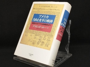 アメリカ 自由と変革の軌跡 【デイビッドルー】