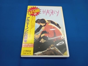 DVD アルジャーノンに花束を