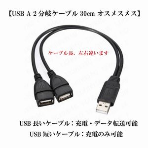 【USB A 2分岐ケーブル30cm オスメスメス】データケーブル 充電ケーブル USB2.0 分岐ケーブル スマホ 送料込み 定形外