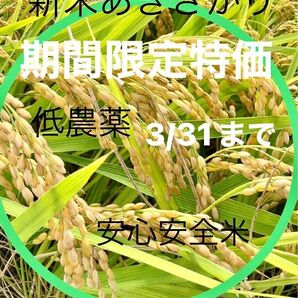 低農薬　令和5年産あきさかり　玄米１０キロ　安心安全米