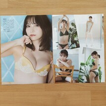 雑誌の切り抜き 21ページ 桃月なしこ 漫画アクション FLASH 別冊ヤングチャンピオン_画像7