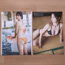 雑誌の切り抜き　26ページ　南みゆか　ヤングマガジン　A4サイズ ヤングチャンピオン_画像5