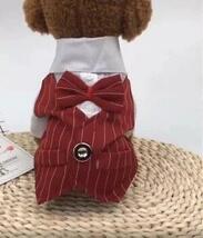 新品未使用 小型犬用 ペット服 ドッグ 犬 服 結婚式ペット用品_画像6