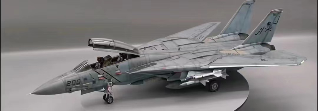 تم تجميع تاميا 1/48 من طراز F-14A التابع للبحرية الأمريكية ورسم المنتج النهائي, نماذج بلاستيكية, الطائرات, منتج منتهي