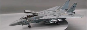 Art hand Auction Tamiya 1/48 美国海军 F-14A 拼装涂装完成品, 塑料模型, 飞机, 完成的产品
