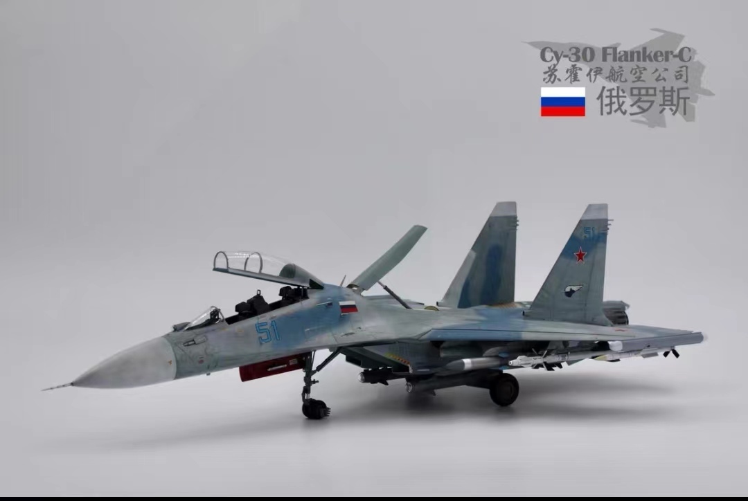 2025年最新】Yahoo!オークション -su-30 48の中古品・新品・未 2025年最新】Yahoo!オークション -su-30 48の中古品・新品・未