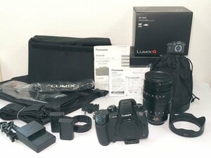 美品・動作品 Panasonic LUMIX ミラーレス一眼デジタルカメラ DC-GH5 ズームレンズ・ハクバ ドライソフトボックス・収納ケース・取説付